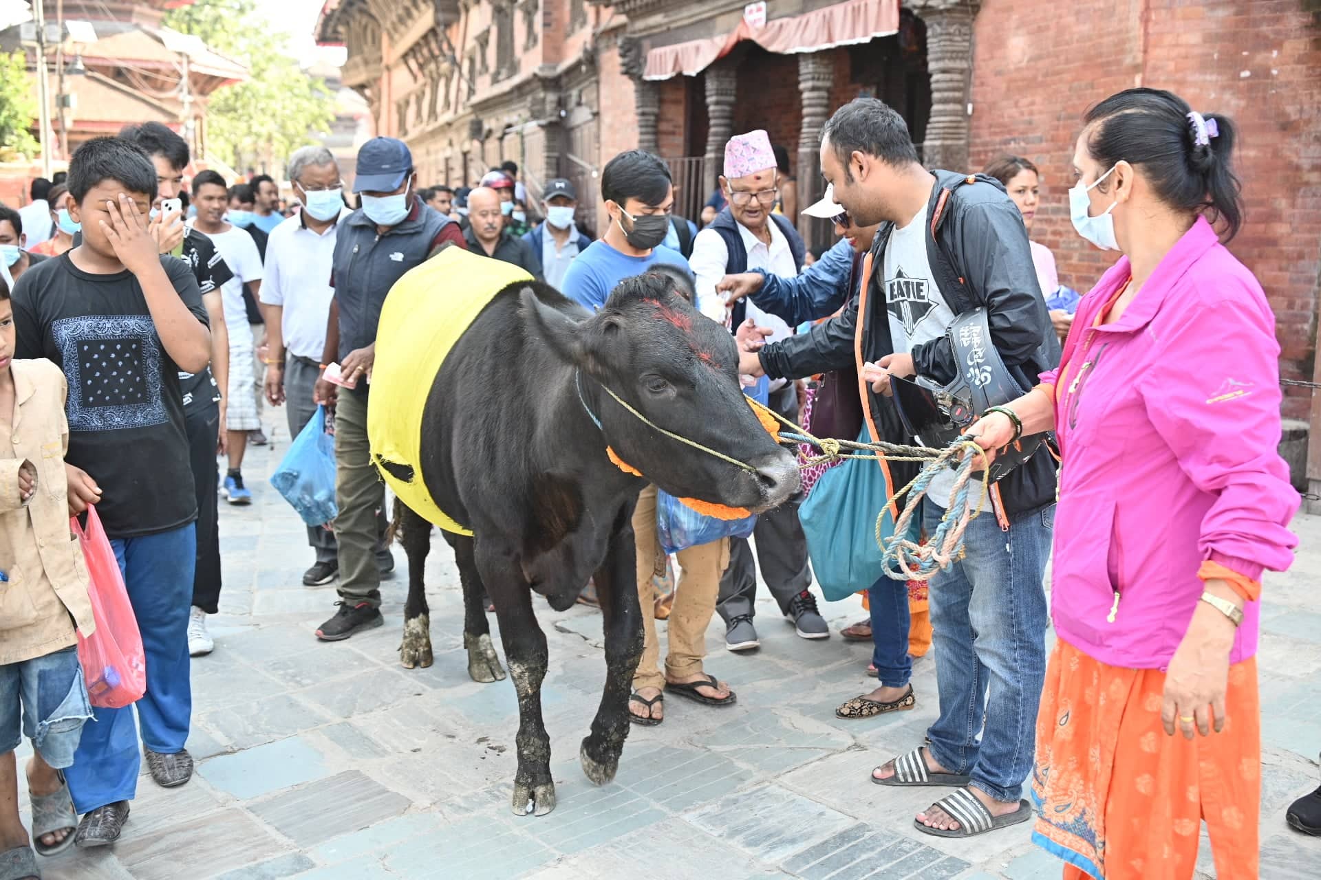 आज गाईजात्रा मनाइँदै, कसरी चल्याे हाँस्यव्यङ्ग्यको प्रचलन ?